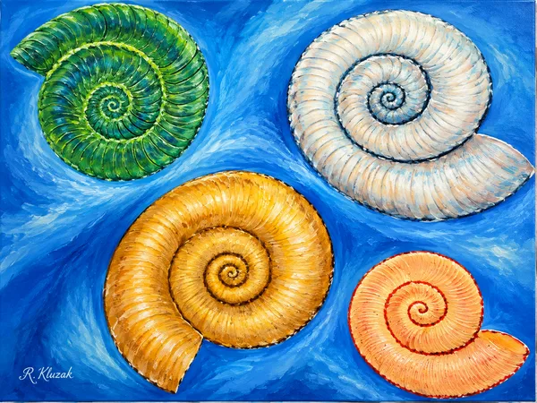 8 - Spirales du temps